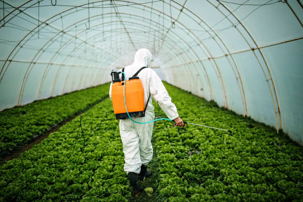 Best Best Pest Control Companies  in Bethel Manor, VA
