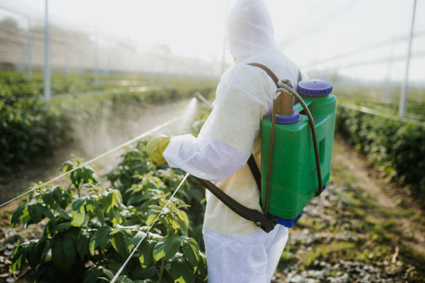 Trusted Bethel Manor, VA Pest Control Experts